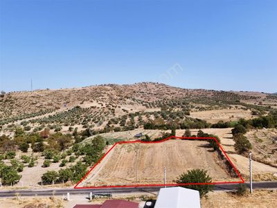 Arsa-Bağ & Bahçe
