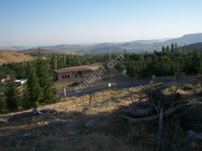 Arsa-Bağ & Bahçe