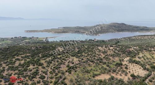 Arsa-Tarla