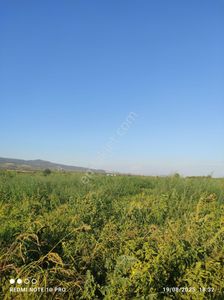 Arsa-Tarla