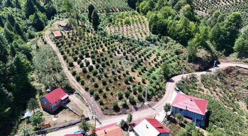 Konut-Müstakil Ev