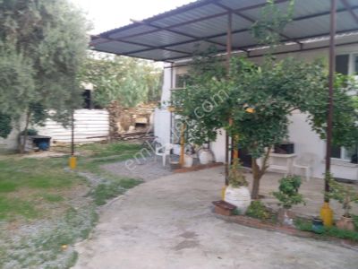 Konut-Müstakil Ev