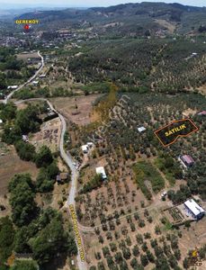 Arsa-Zeytinlik