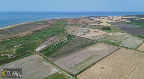 Arsa-Tarla