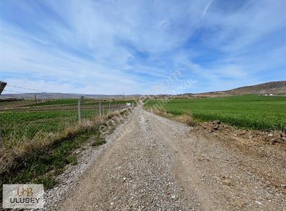 Arsa-Tarla