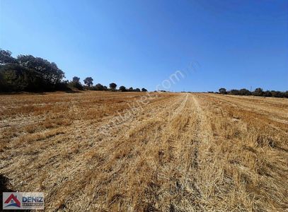Bursa Karacabey İkizce İzmir Yoluna Yakın Satılık Muhteşem Arazi