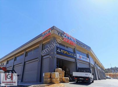 İşyeri-Dükkan & Mağaza