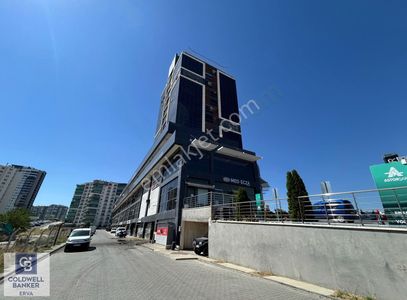 İşyeri-Dükkan & Mağaza