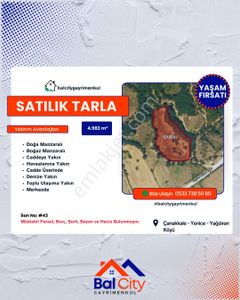 Arsa-Tarla
