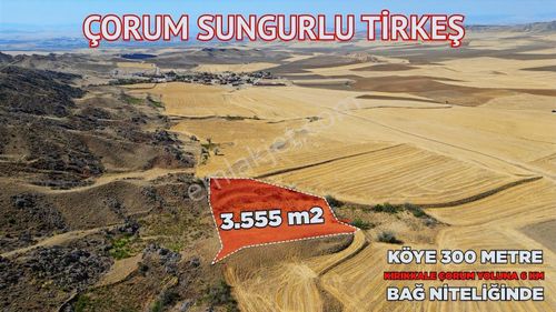 Arsa-Tarla