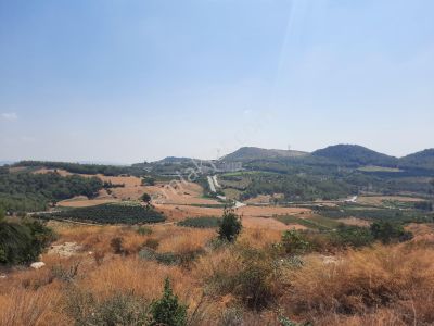 Arsa-Bağ & Bahçe