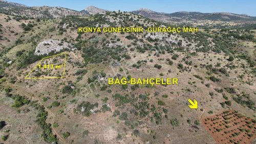 Arsa-Bağ & Bahçe