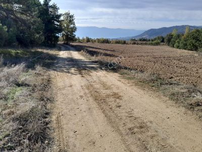 Arsa-Tarla