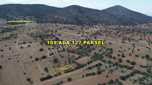 Arsa-Tarla