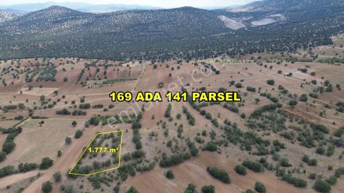 Arsa-Tarla