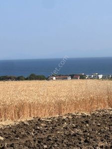 Arsa-Tarla