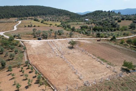 Arsa-Konut İmarlı