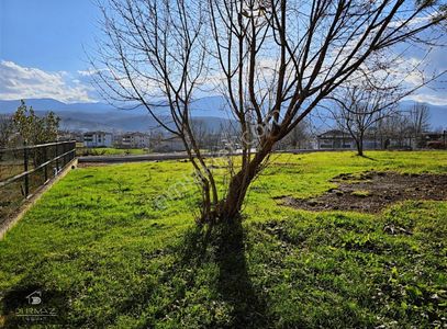 Arsa-Konut İmarlı