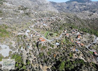 Arsa-Zeytinlik