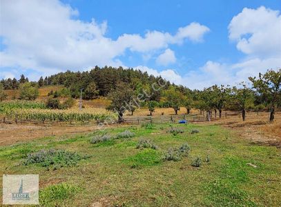 Arsa-Villa İmarlı
