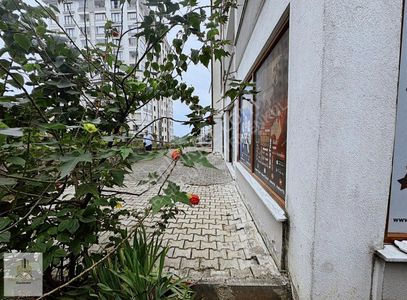 İşyeri-Dükkan & Mağaza