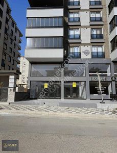 İşyeri-Dükkan & Mağaza