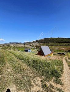 Arsa-Tarla