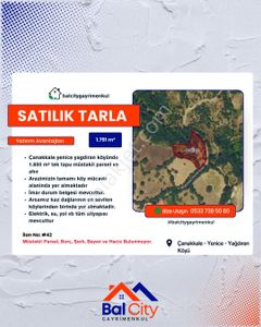 Arsa-Tarla