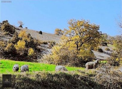 Yenişehir Kozdere'de İki Parsel Toplam 25.600 M2 Satılık Tarla