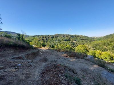 Arsa-Tarla