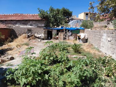 Konut-Köy Evi