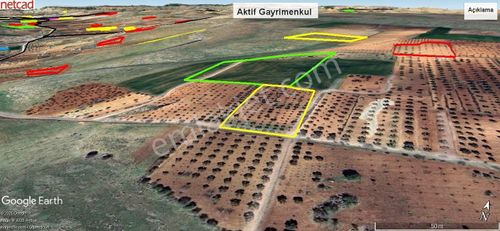 Arsa-Bağ & Bahçe