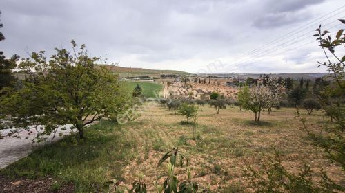 Arsa-Villa İmarlı