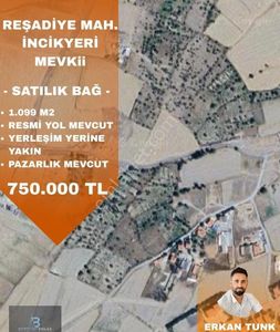 Arsa-Bağ & Bahçe
