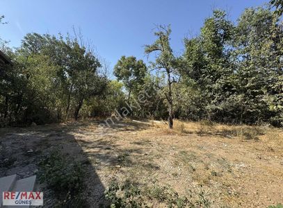 Arsa-Bağ & Bahçe