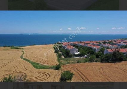 Arsa-Tarla