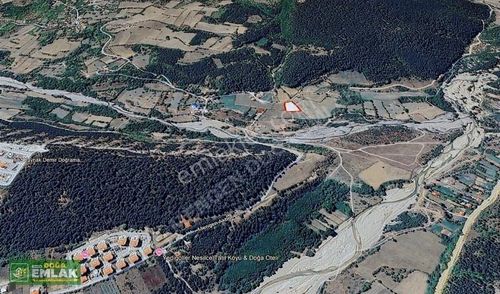 Arsa-Konut İmarlı