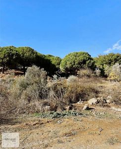 Arsa-Bağ & Bahçe
