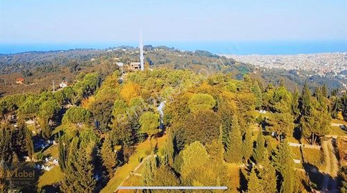 Arsa-Özel Kullanım