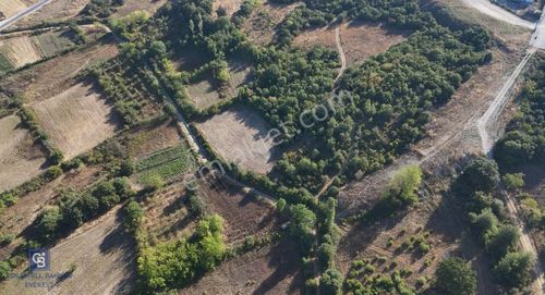 Arsa-Villa İmarlı
