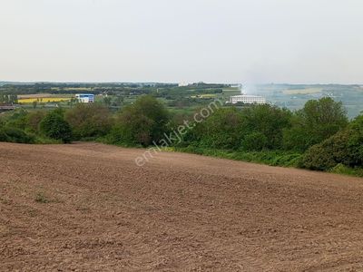 Arsa-Tarla