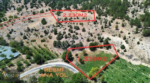 Arsa-Tarla