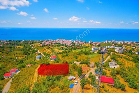 Arsa-Villa İmarlı
