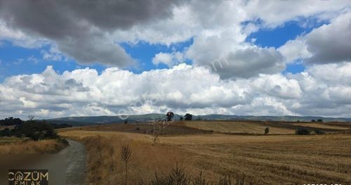 Arsa-Tarla