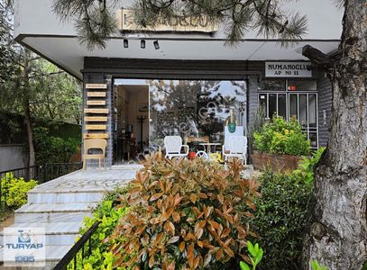 İşyeri-Ofis