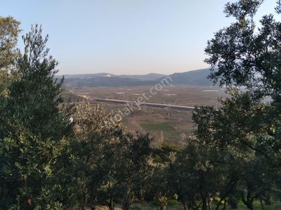 Arsa-Tarla