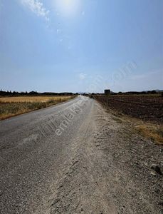 Arsa-Tarla