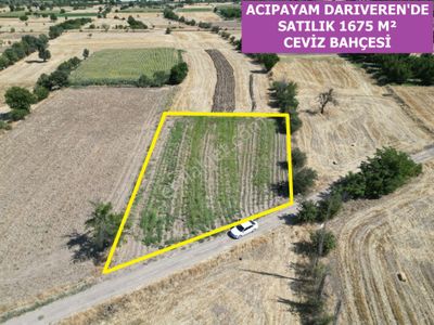 Arsa-Bağ & Bahçe