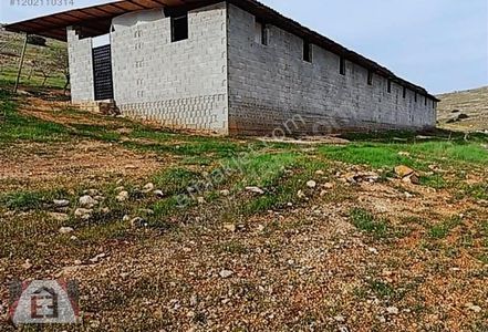 Konut-Çiftlik Evi