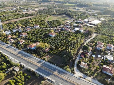 Arsa-Konut+Ticaret Alanı